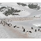 Antarktika [92] - Erhöhtes Verkehrsaufkommen