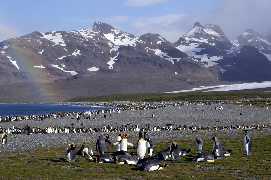 Antarktis Foto- Expeditionsreise 2013 Impression 1