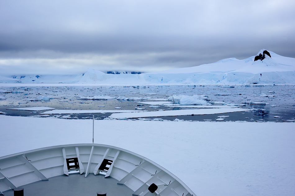 Antarktis Foto- Expeditionsreise 2013 Impression 29