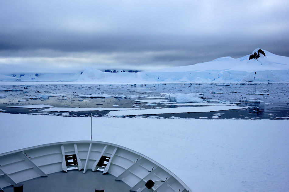 Antarktis Foto- Expeditionsreise 2013 Impression 7