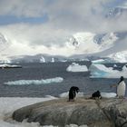 Antarktis: Port Lockroy