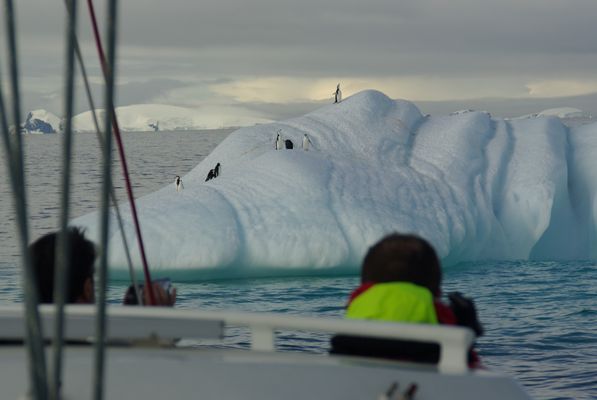 Antarktis-Segeltrip 1 (154)