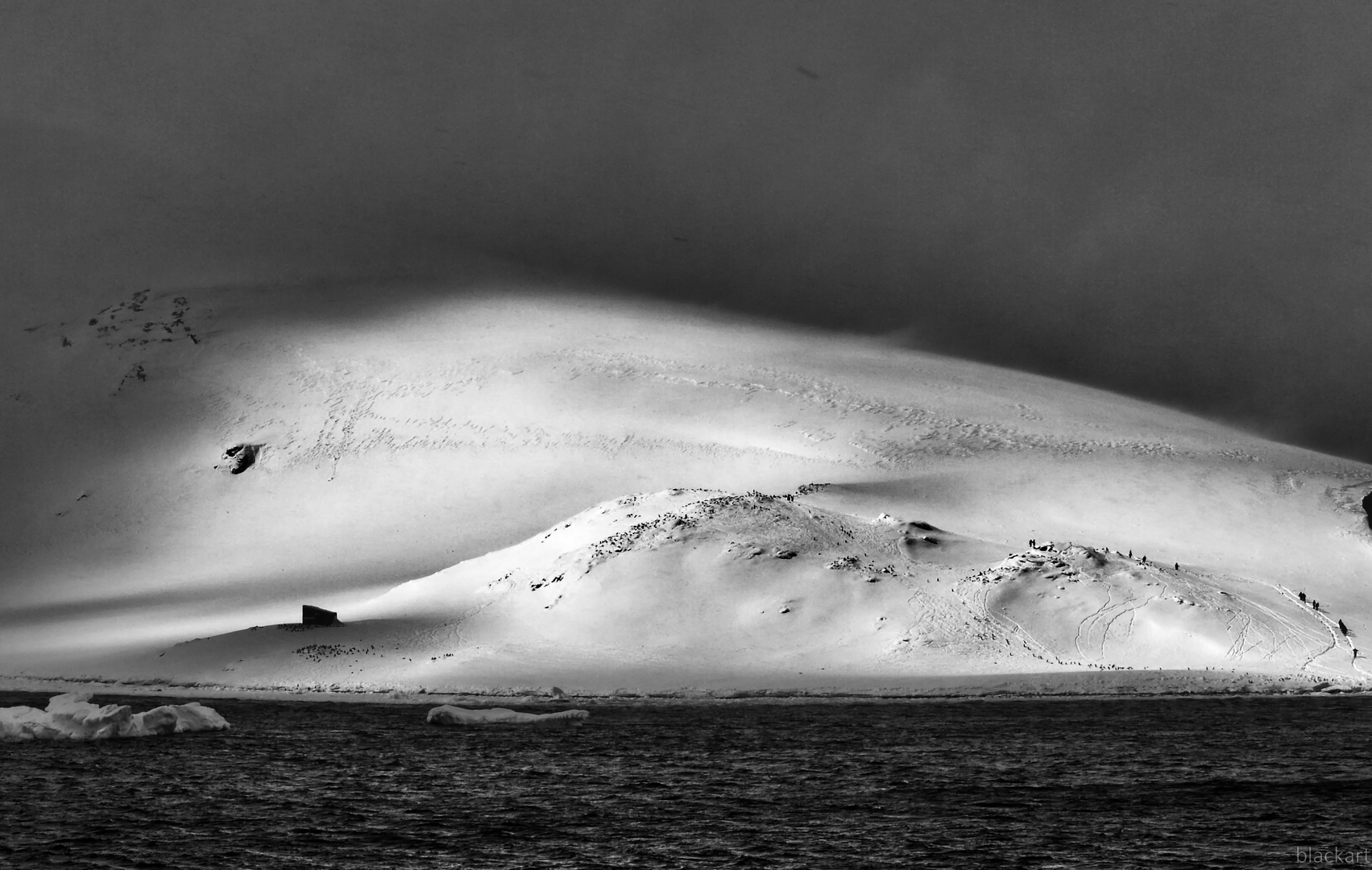 antarktische halbinsel