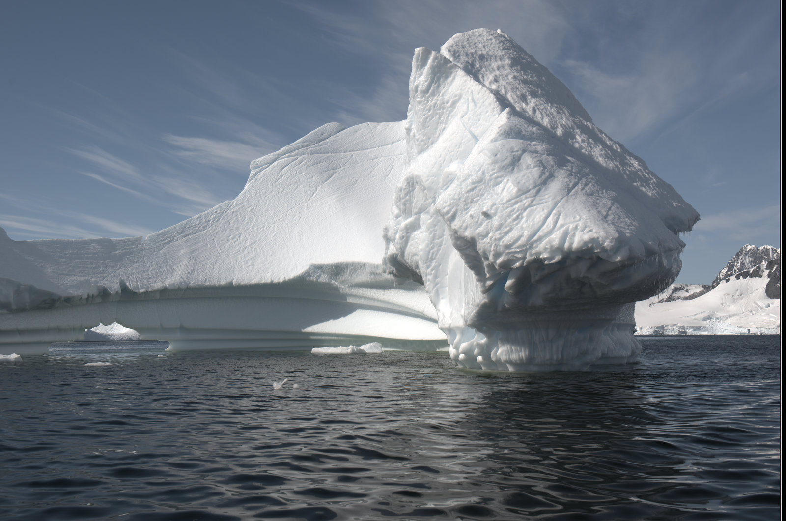 Antarktischer Sommer mit Eisbergen