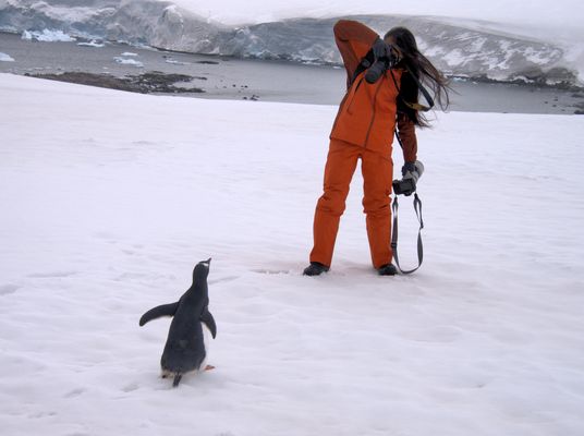 Antarktisches Modelshooting