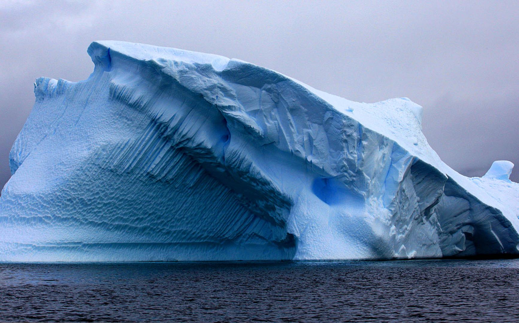 Antártica, edén de hielo