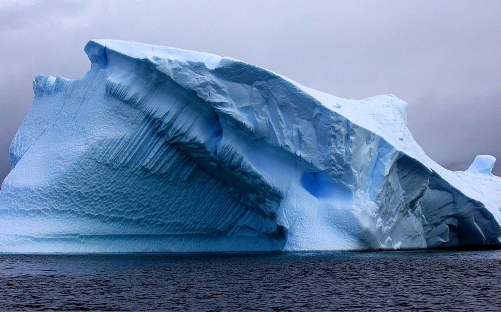 Antártica, edén de hielo de Lechuza18 