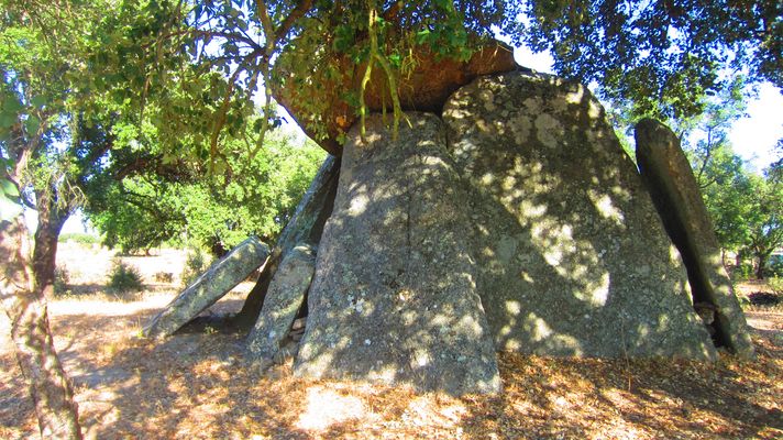 Antas 1 dos Saragonheiros