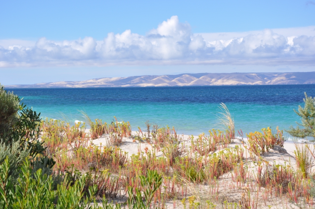 Antechamber Bay, Kangaroo Island, Australia