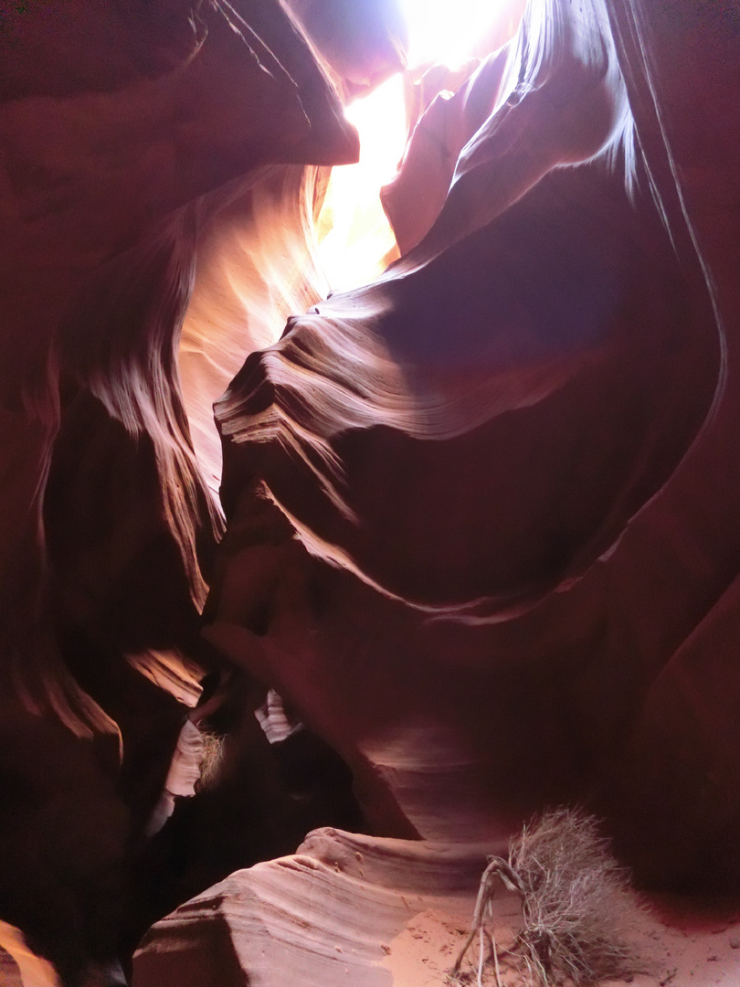 Antelope Canyon 1