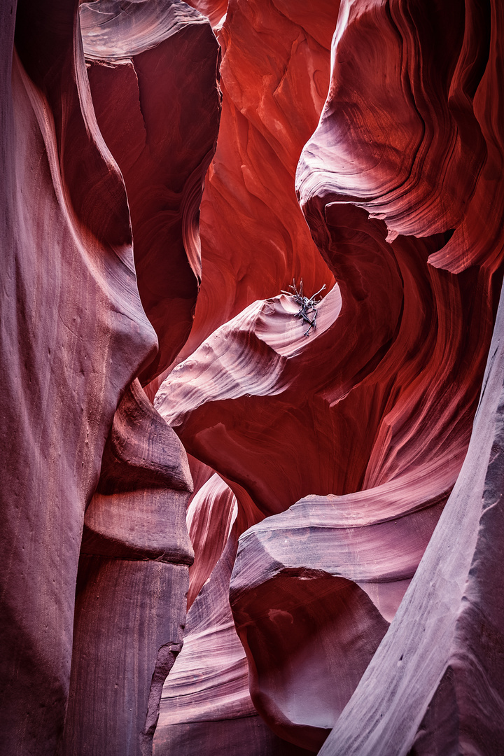 Antelope Canyon 1