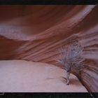 antelope canyon