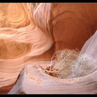 Antelope Canyon #2