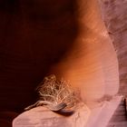 Antelope Canyon