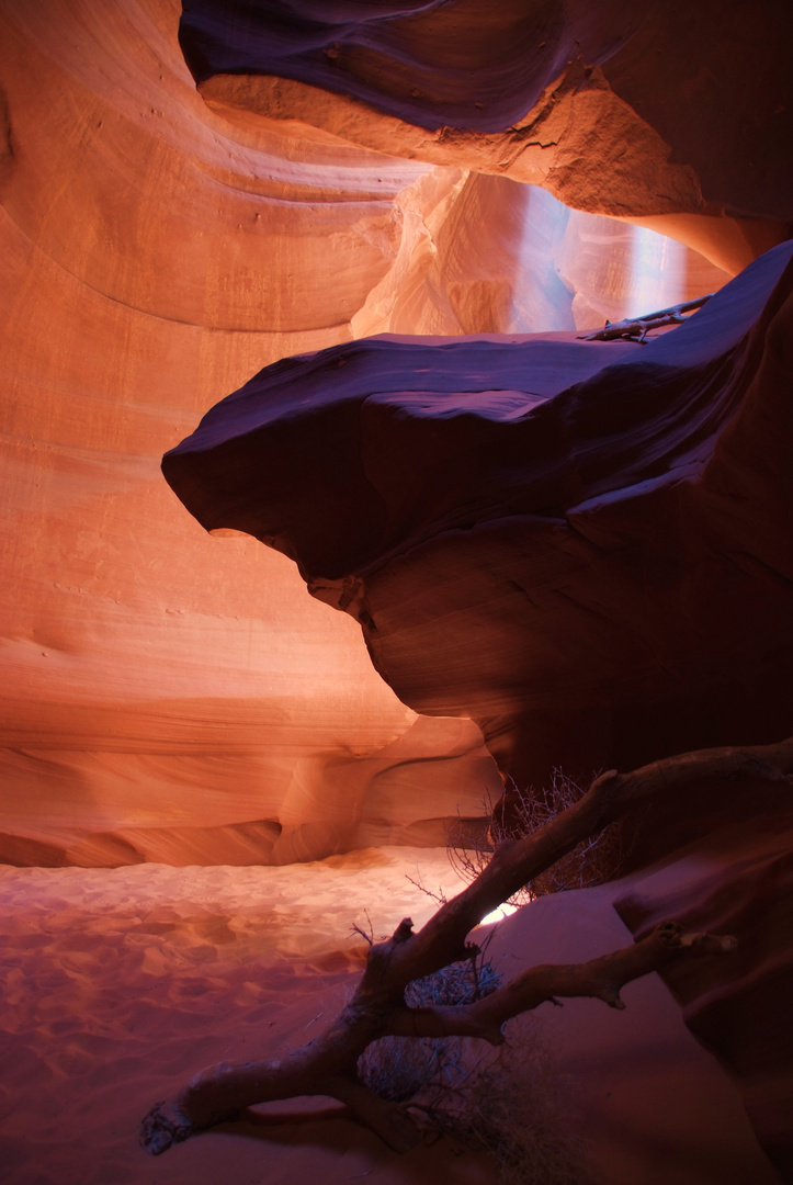 Antelope Canyon - Der Kopf des Adlers