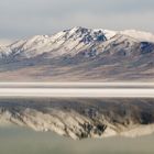 Antelope Island