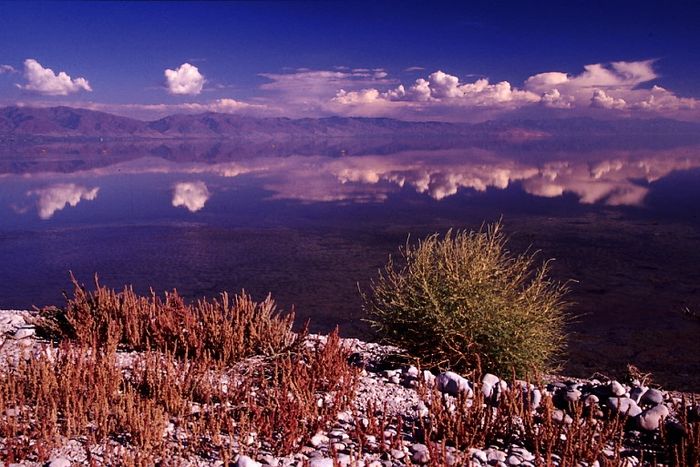 Antelope Island