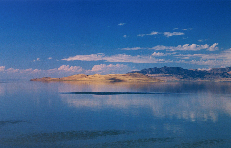 Antelope Island USA