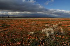 *Antelope Valley & upcoming storm*