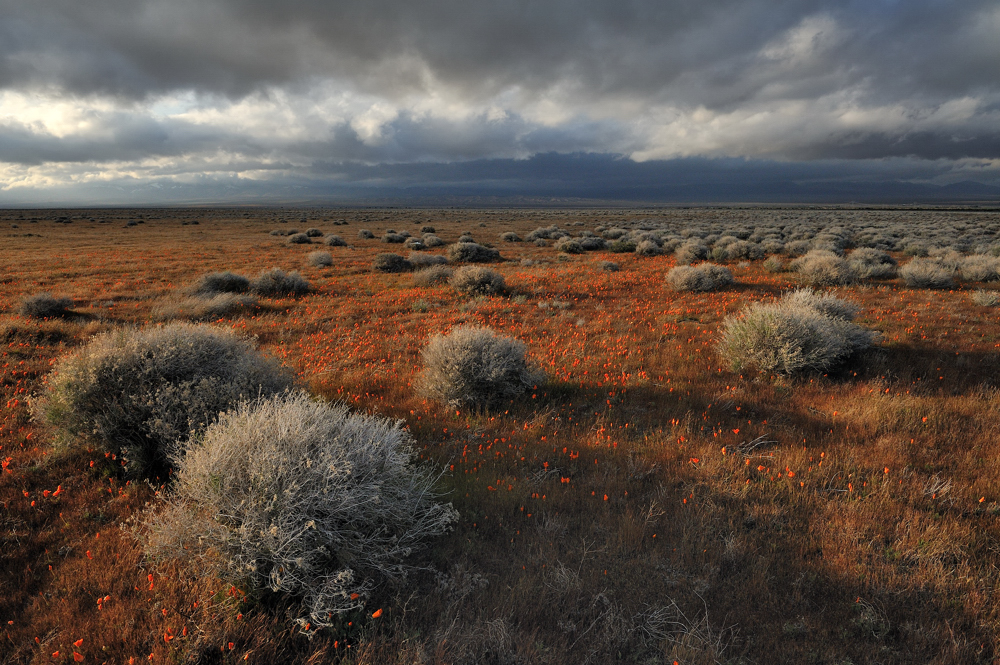 *Antelope Valley & upcoming storm II*