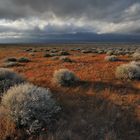 *Antelope Valley & upcoming storm II*