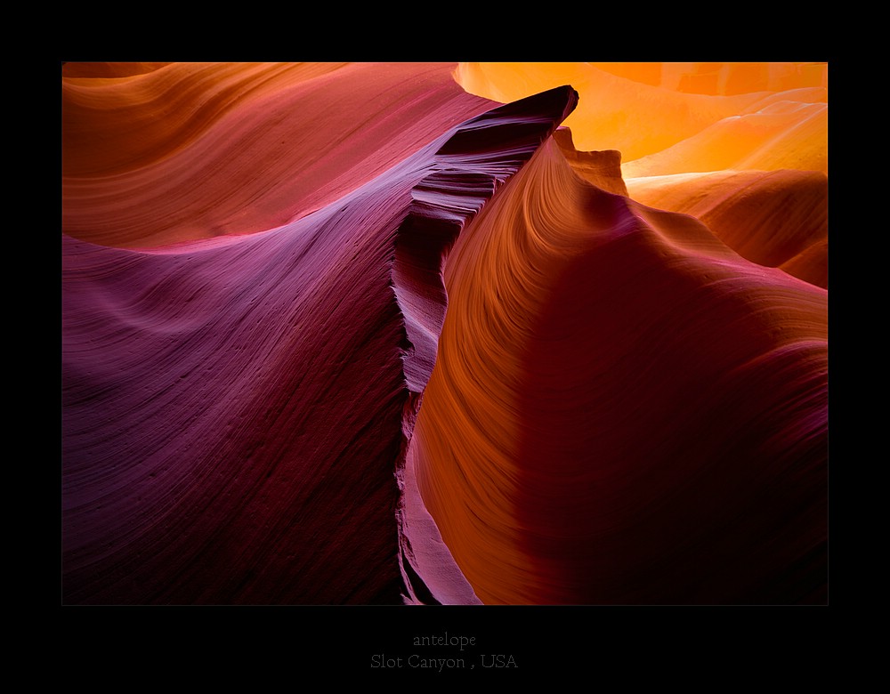 antelope wave