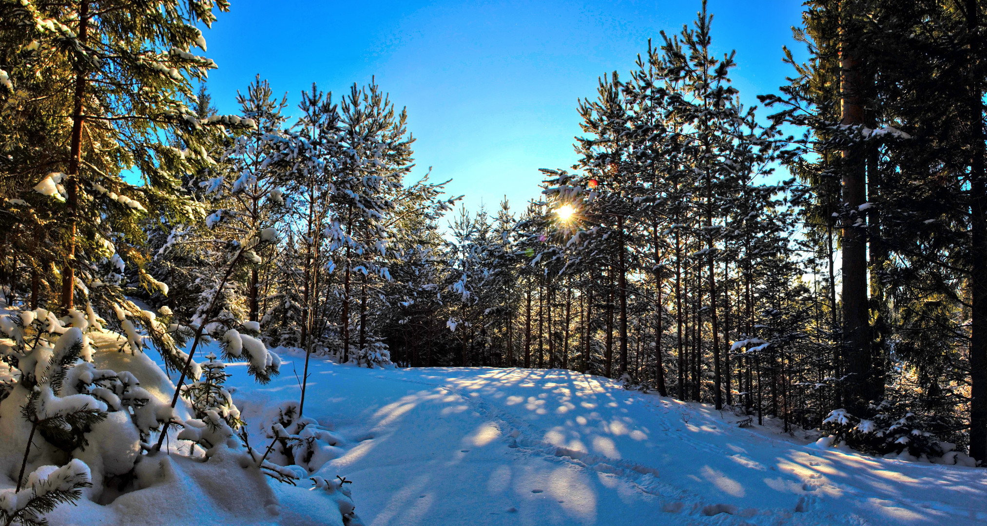 Antenfeinhöfen, Winterlandschaft, Eisig, Winterwanderung 