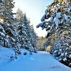 Antenfeinhöfen, Winterlandschaft, Eisig, Winterwanderung