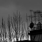 Antenne