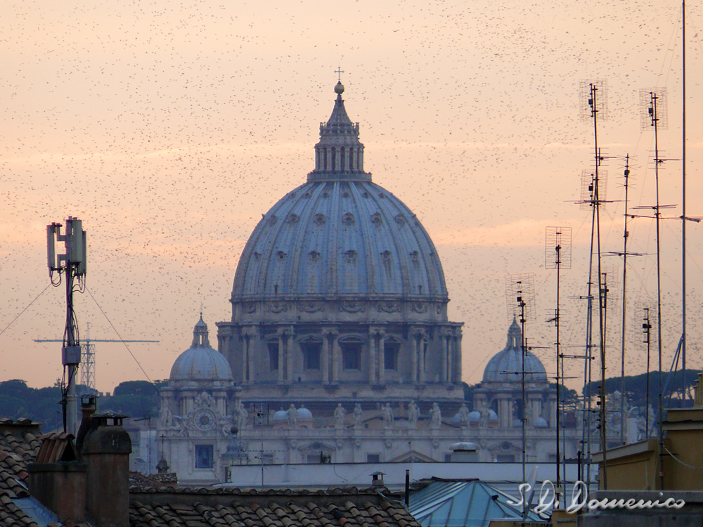 antenne romane