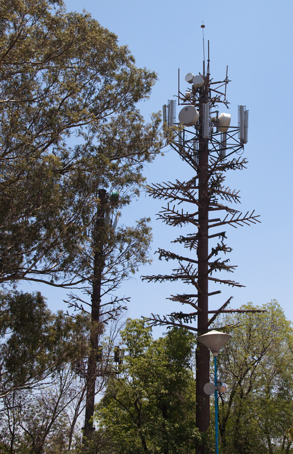 Antennenbaum