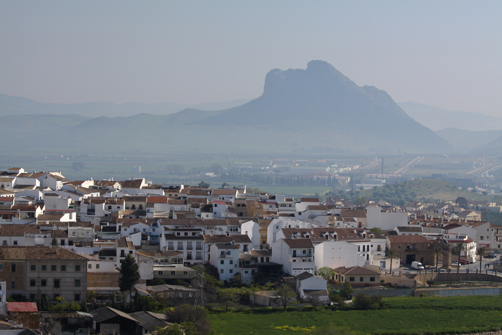 antequera #1