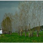 Antes de la lluvia, el campo de deportes (Vor dem Regen am Sportplatz)