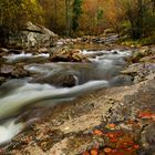 Antes de que se acabe el Otoño