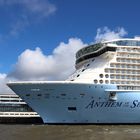 *Anthem of the Seas 02042015* (7)