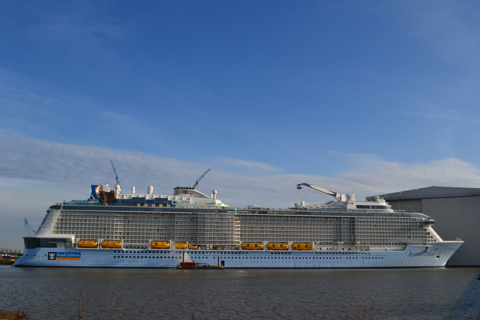 Anthem of the Seas 4