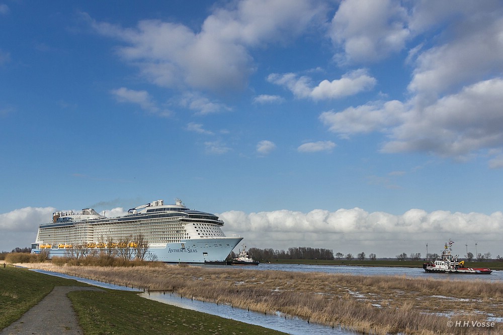 Anthem of the Seas auf der Ems