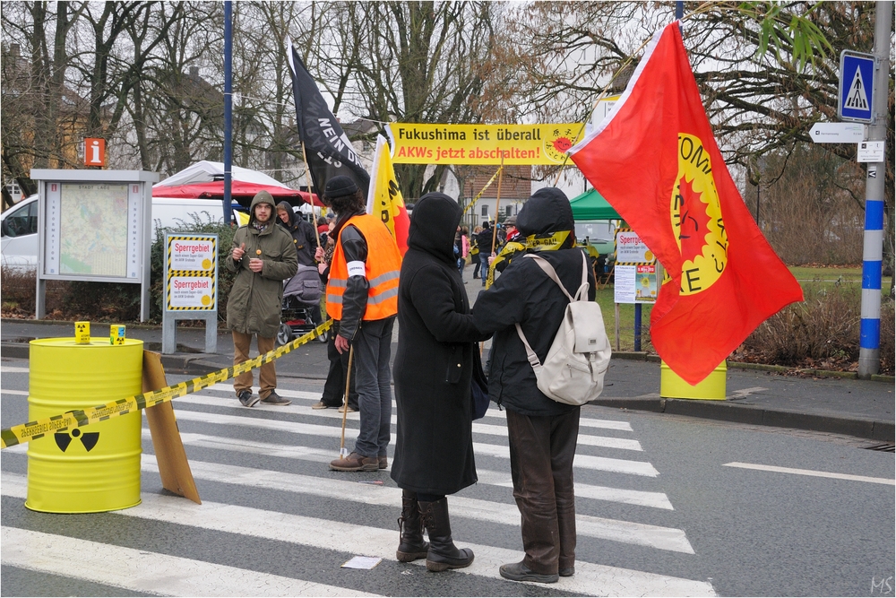 Anti-Atomkraft- Demo 2013 # 1