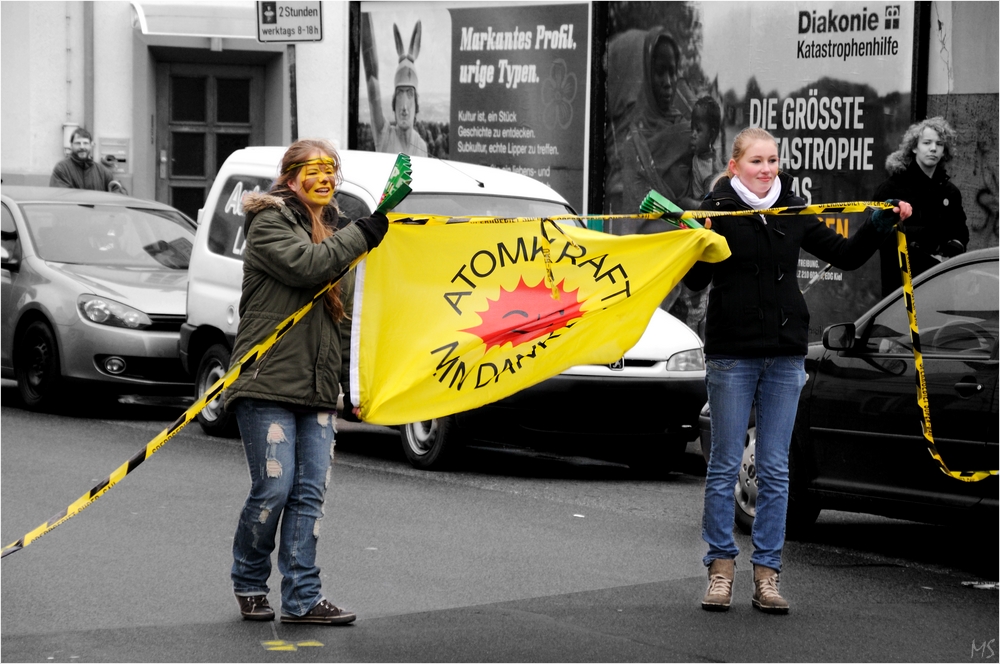 Anti-Atomkraft-Demo 2013 # 3