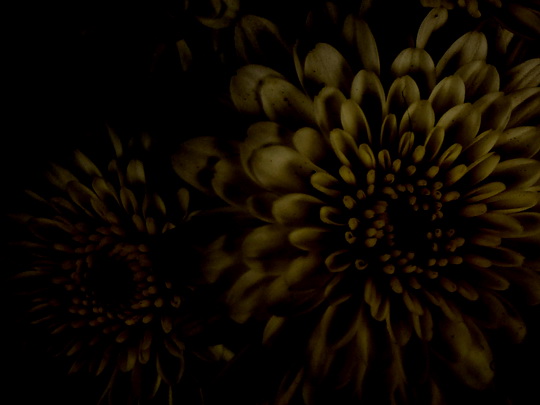 anti-flowers