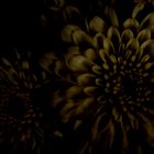 anti-flowers