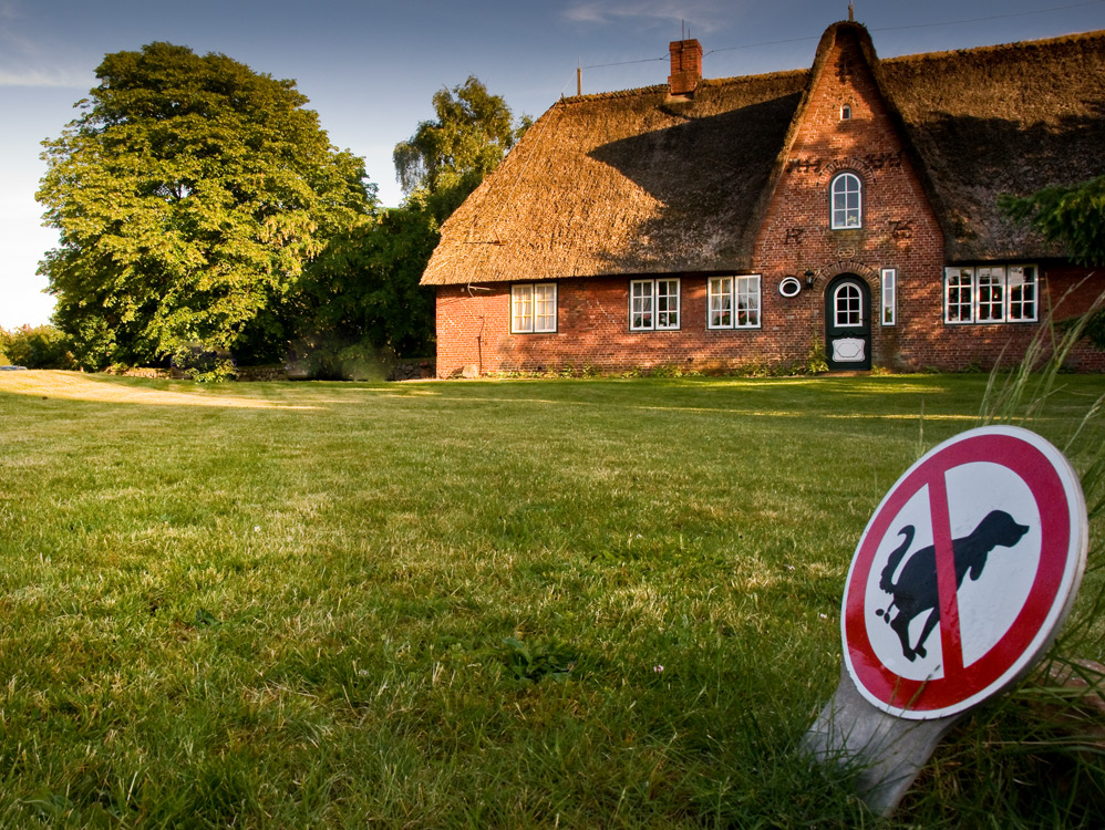 Anti-Hundewiese auf Sylt