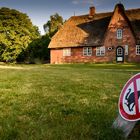 Anti-Hundewiese auf Sylt