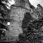 Antiche mura del castello