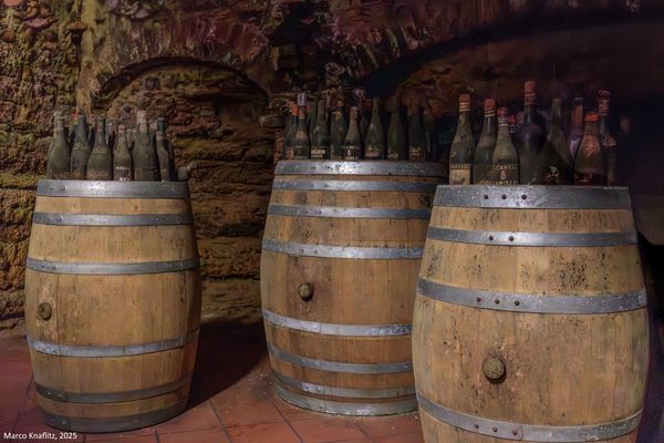 Antiche tradizioni nel paese del Barolo (La Morra, (CN), Italy)