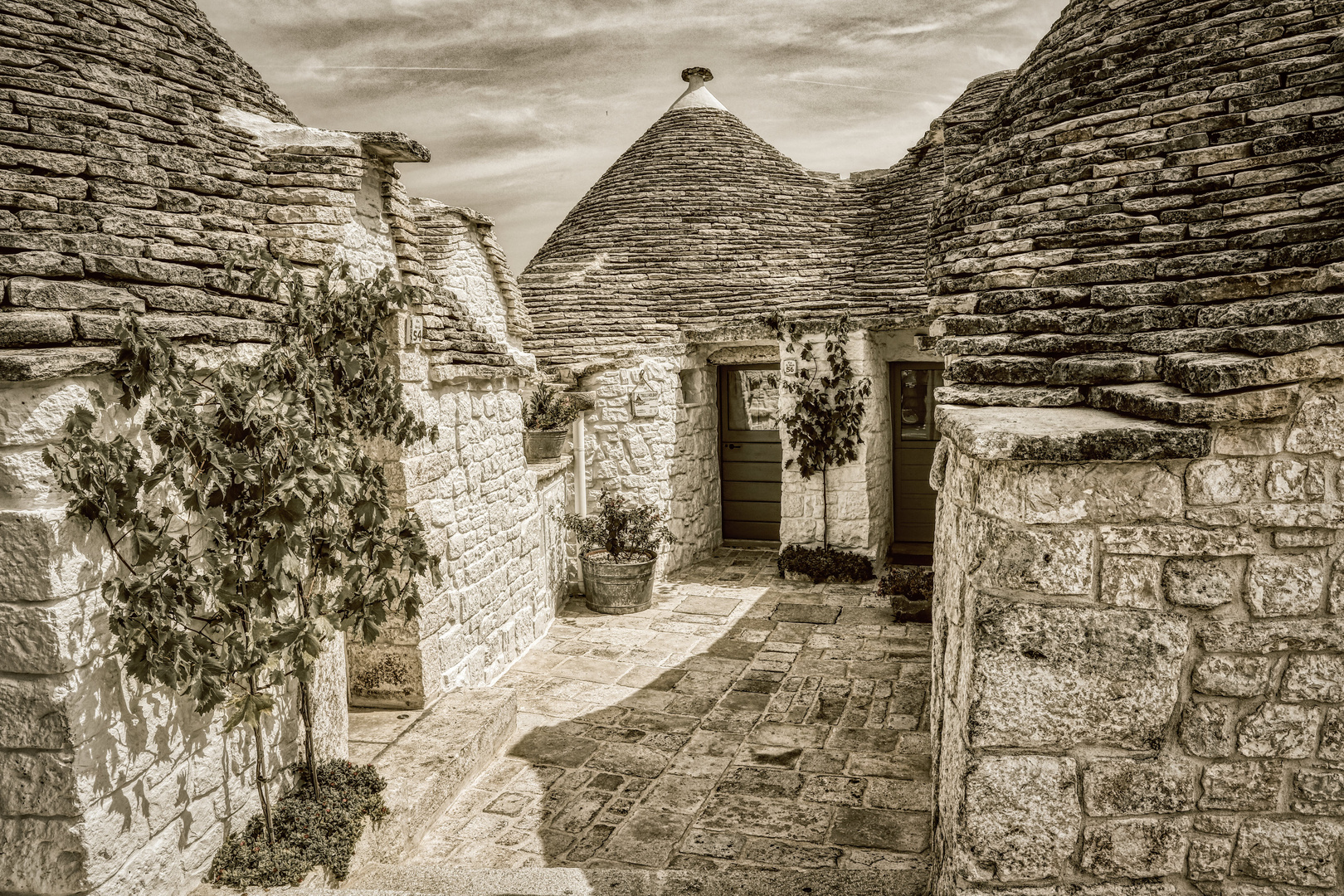 ANTICHI TRULLI 2