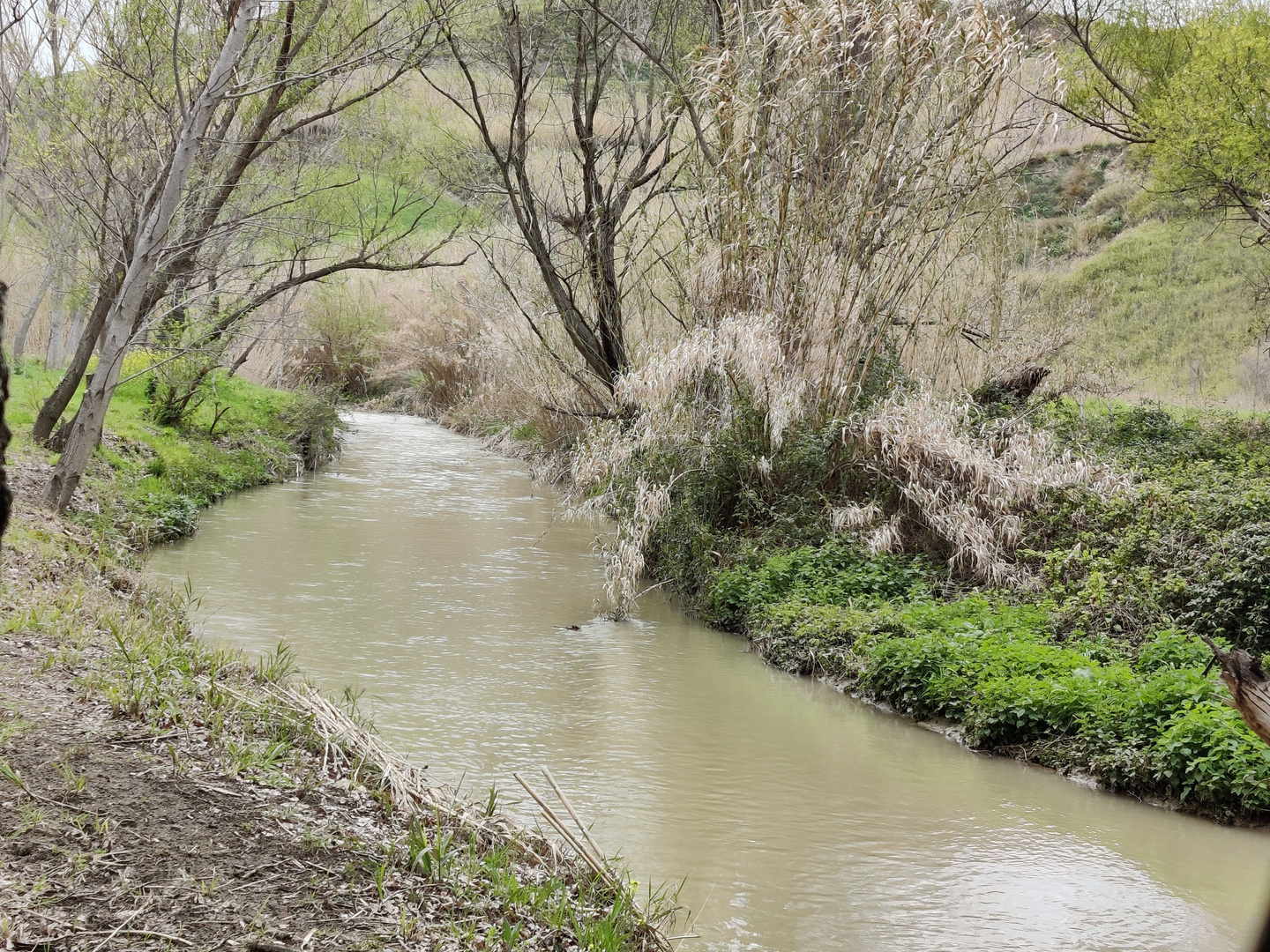 Antico fiume di Rapolla (Pz)