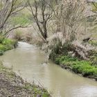 Antico fiume di Rapolla (Pz)