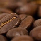 Antigua Kaffeebohnen