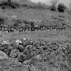 ANTIGUAS COLMENAS DE ABEJAS, ANTAÑO